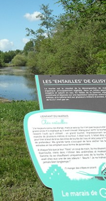 Signalétique d’Interprétation Milieux humides – Marais de Glisy
