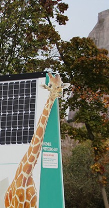Signalétique Connectée – Zoo de Paris